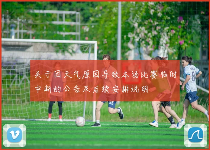 关于因天气原因导致本场比赛临时中断的公告及后续安排说明